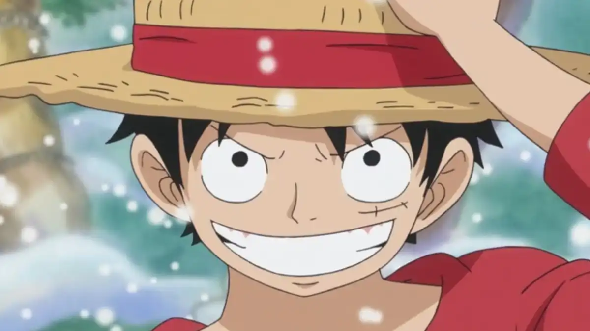 Roundup - One Piece Luffy - Information, FAQs, LEGO Minifigures, Toys & More!