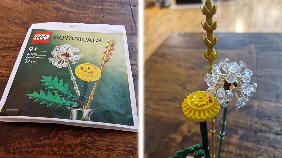 LEGO Botanical 30701 Field Flowers reviewed by angelofdeathWHV