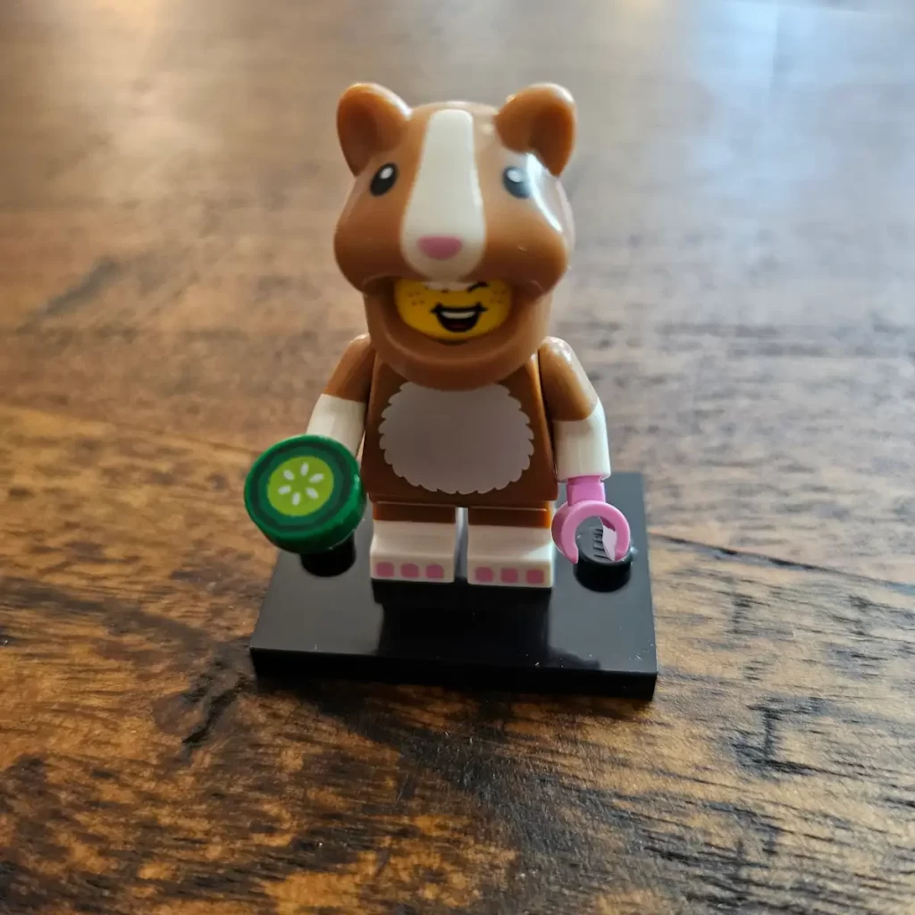 the Hamster Costume Fan of LEGO 71048 Minifigures Series 27 Reviewed by angelofdeathWHV