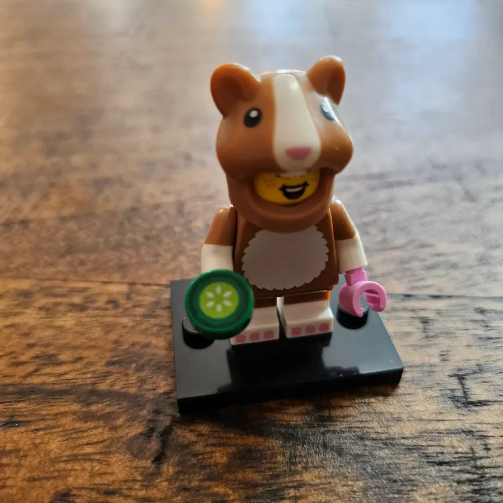 the Hamster Costume Fan of LEGO 71048 Minifigures Series 27 Reviewed by angelofdeathWHV 2